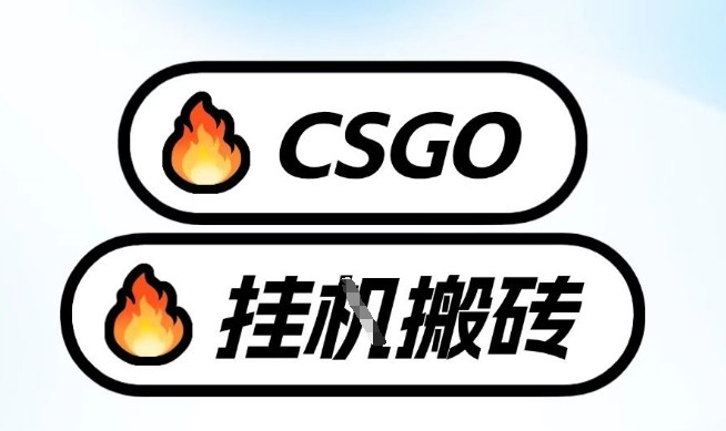 真全网独家CSGO挂G，最新玩法,单日捡漏1K+，不用电脑，不用打游戏【揭秘】 – 战狼项目网_分享创业资讯_最新网络项目资源-生财有道
