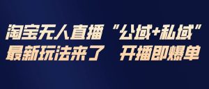 淘宝无人直播最新玩法，包含私域和公域两种玩法 – 战狼项目网_分享创业资讯_最新网络项目资源-生财有道