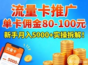 流量卡推广，单卡佣金80-100，新手月入5k+实操拆解！ – 战狼项目网_分享创业资讯_最新网络项目资源-生财有道