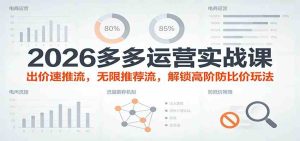 2026多多运营实战课：出价速推流，无限推荐流，解锁高阶防比价玩法（更新） – 战狼项目网_分享创业资讯_最新网络项目资源-生财有道