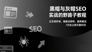 黑帽与灰帽SEO实战的野路子教程：泛目录秒收，蜘蛛池搭桥，霸屏截流，7天抢占首页暴利词 – 战狼项目网_分享创业资讯_最新网络项目资源-生财有道