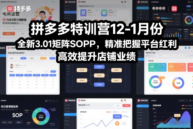 拼多多特训营12-1月份，全新3.01矩阵Sop，精准把握平台红利，高效提升店铺业绩 – 战狼项目网_分享创业资讯_最新网络项目资源-生财有道