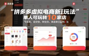 拼多多虚拟电商新玩法，单人可玩转10家店，零成本、成交快、转化快，单店单日盈利3张【揭秘】 – 战狼项目网_分享创业资讯_最新网络项目资源-生财有道