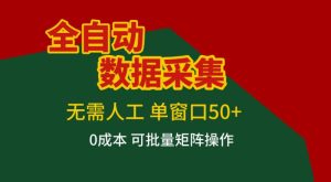 全自动数据采集，无需人工，单窗口50+，0成本可批量矩阵操作【揭秘】 – 战狼项目网_分享创业资讯_最新网络项目资源-生财有道