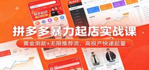 拼多多暴力起店实战课：黄金测款+无限推荐流，高投产快速起量 – 战狼项目网_分享创业资讯_最新网络项目资源-生财有道
