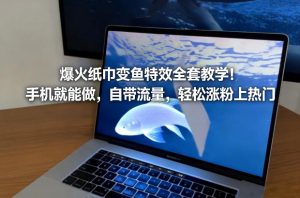 爆火纸巾变鱼特效全套教学!手机就能做,自带流量,轻松涨粉上热门 – 战狼项目网_分享创业资讯_最新网络项目资源-生财有道