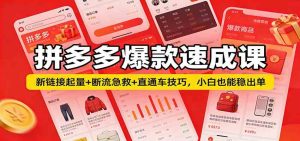 拼多多爆款速成课:新链接起量+断流急救+直通车技巧,小白也能稳出单 – 战狼项目网_分享创业资讯_最新网络项目资源-生财有道