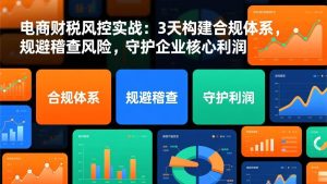 电商财税风控实战：3天构建合规体系，规避稽查风险，守护企业核心利润 – 战狼项目网_分享创业资讯_最新网络项目资源-生财有道