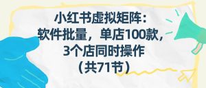 小红书虚拟矩阵：软件批量发笔记，单店100款，3个店同时操作（共71节） – 战狼项目网_分享创业资讯_最新网络项目资源-生财有道