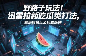 野路子玩法!迅雷拉新吃瓜类打法,截流自热以及后端处理 – 战狼项目网_分享创业资讯_最新网络项目资源-生财有道