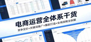 电商运营全体系干货,竞争定价+关键词推广+爆款打造+全域战略全拆解 – 战狼项目网_分享创业资讯_最新网络项目资源-生财有道