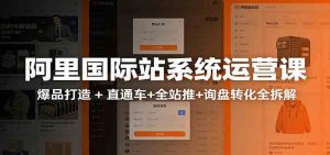 阿里国际站运营实战课：从店铺布局到TOP10旺铺，数据化运营，推广全攻略 – 战狼项目网_分享创业资讯_最新网络项目资源-生财有道