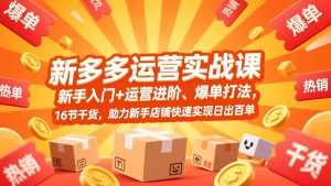 拼多多运营实战课，新手入门+运营进阶、爆单打法，16节干货，助力新手店铺快速实现日出百单 – 战狼项目网_分享创业资讯_最新网络项目资源-生财有道