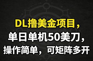 DL撸美金项目，单日单机50美刀，操作简单，可矩阵多开 – 战狼项目网_分享创业资讯_最新网络项目资源-生财有道