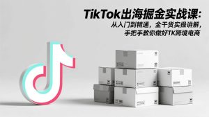 TikTok出海掘金实战课：从入门到精通，全干货实操讲解，手把手教你做好TK跨境电商 – 战狼项目网_分享创业资讯_最新网络项目资源-生财有道