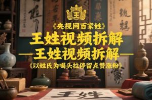 央视网百家姓–王姓视频拆解，以姓氏为噱头拉停留点赞涨粉 – 战狼项目网_分享创业资讯_最新网络项目资源-生财有道